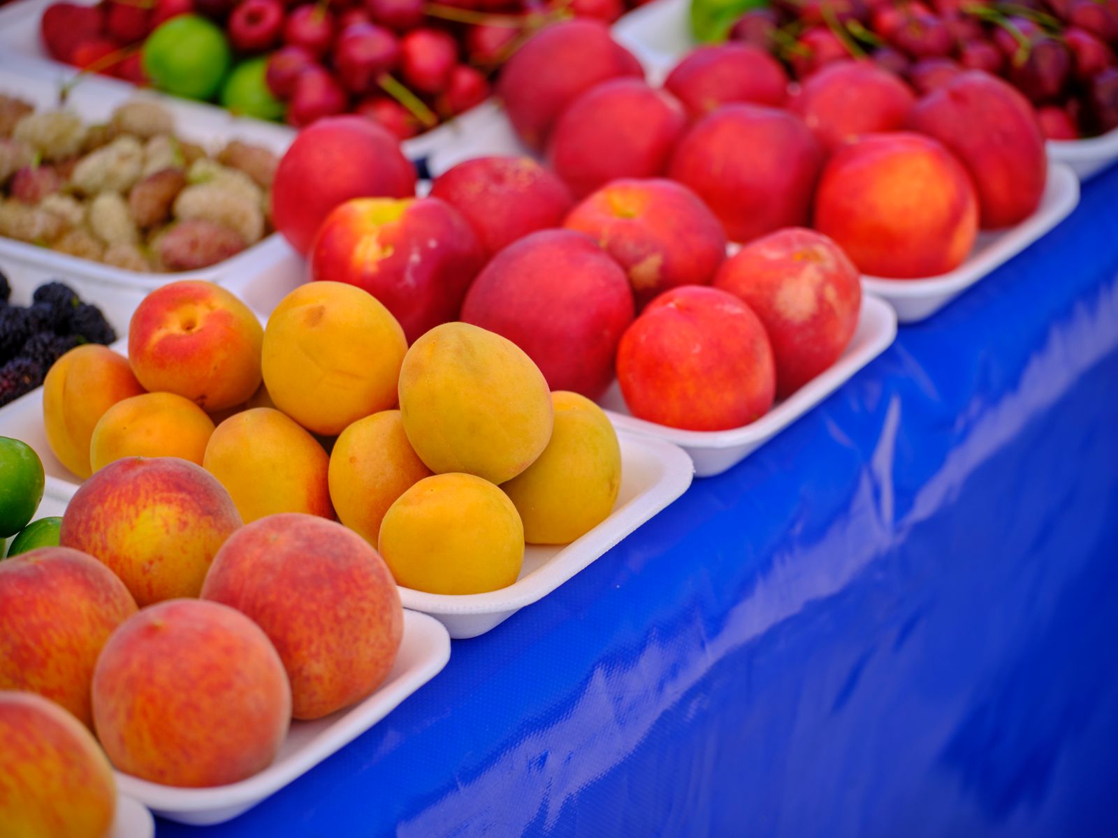 Perziken, nectarines en kersen op een felblauw kleed